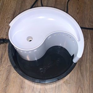 Cat Drinking Fountain